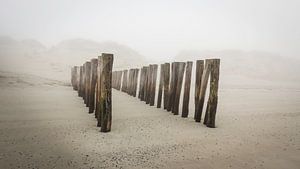 Les Polonais sur la plage de la côte zélandaise dans le brouillard sur Michel Seelen