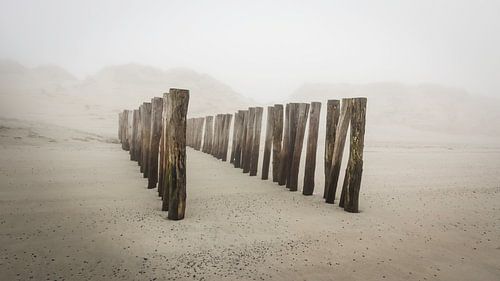 Poleheads on the beach on Zeeland's coast in the fog