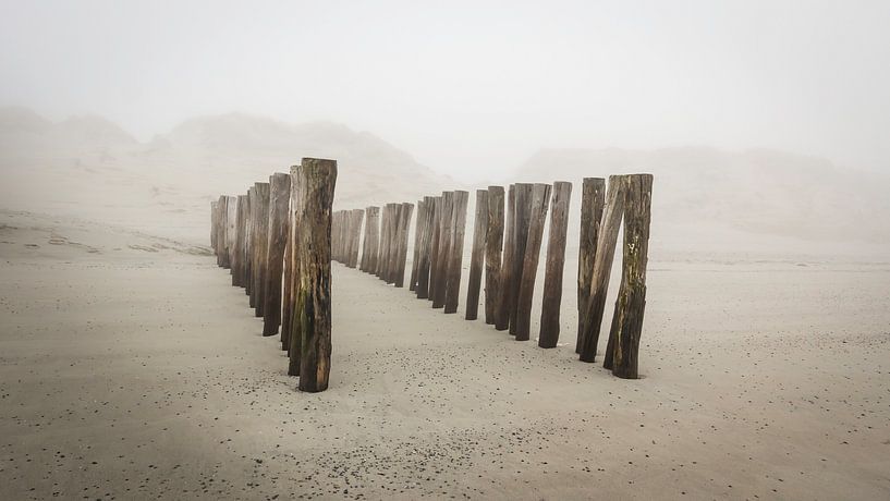 Poleheads am Strand an der Küste Zeelands im Nebel von Michel Seelen