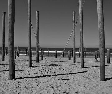 Photo en noir et blanc de la balançoire et du village des pins sur Corine Dekker