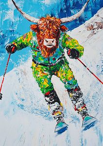 Highland Cow