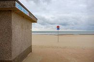 Star of the Sea on the beach by Johan Vanbockryck thumbnail