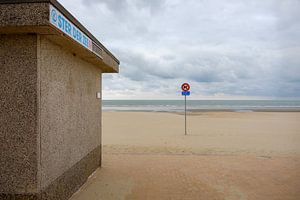 Stern des Meeres am Strand