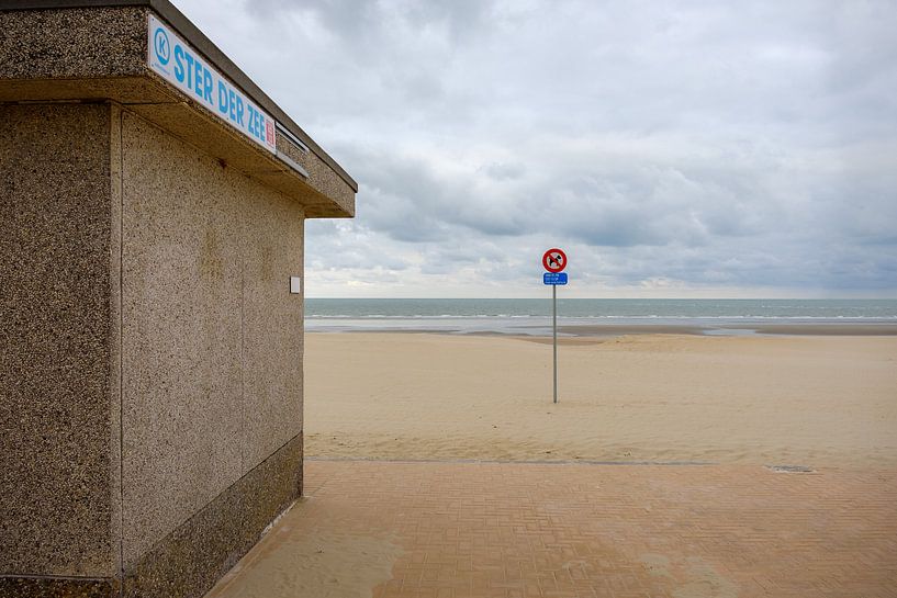Star of the Sea on the beach by Johan Vanbockryck