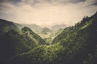 The Valley by Pascal Deckarm thumbnail