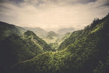 The Valley by Pascal Deckarm