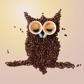 Slaperige uil gemaakt van koffie bonen en kopjes