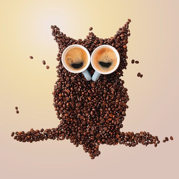 Schläfrige Eule aus Kaffeebohnen und Tassen von Jolanda Aalbers