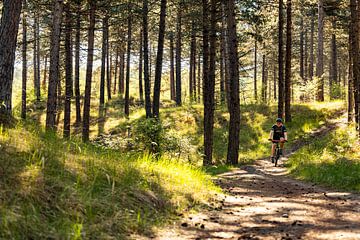 Mountainbiker in Aktion in Burgh-Haamstede von Percy's fotografie