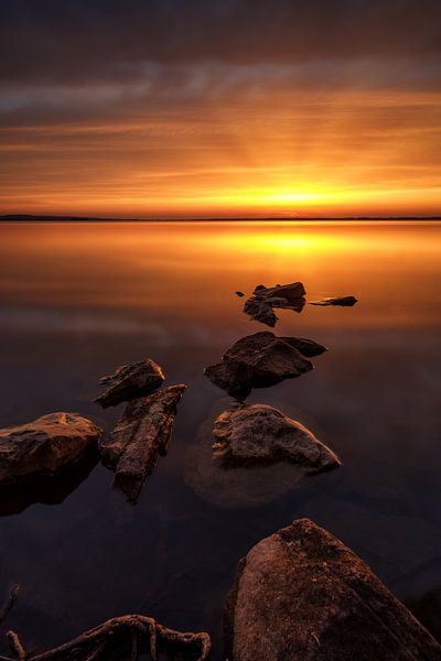 Sunbeams by Marvin Schweer