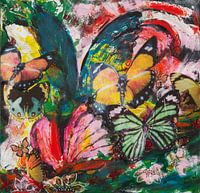 Butterflys