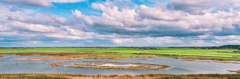 landscape the Harger and Pettemer polder by eric van der eijk