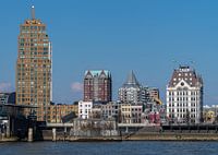 Ligne d'horizon de Rotterdam Maison Blanche