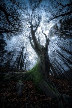 A spooky ritual by Jeroen Lagerwerf