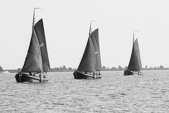 3 sailing botters