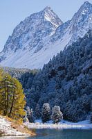 snow-capped peaks