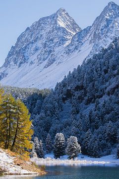 snow-capped peaks by Melanie kempen