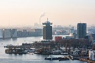 A'DAM toren in Amsterdam Noord van Renzo Gerritsen thumbnail