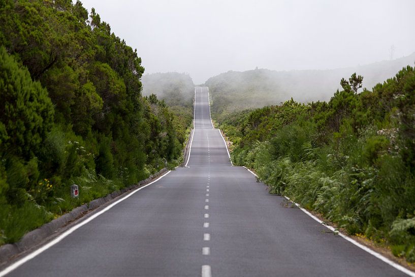 Een weg doorkruist het heuvellandschap van Madeira van Paul Wendels