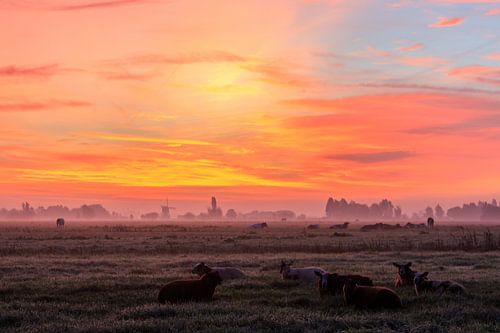 Mistige en kleurrijke zonsopkomst