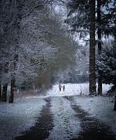 Winterwunderland