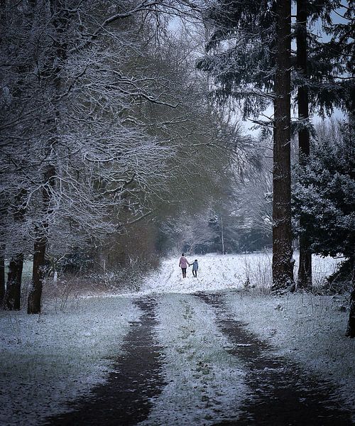 Winterwunderland von Ruben van de Zande