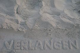 Verlangen von Jan Nuboer