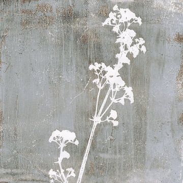 Bloem. Botanische illustratie in retrostijl in wit op roestbruin grijs van Dina Dankers