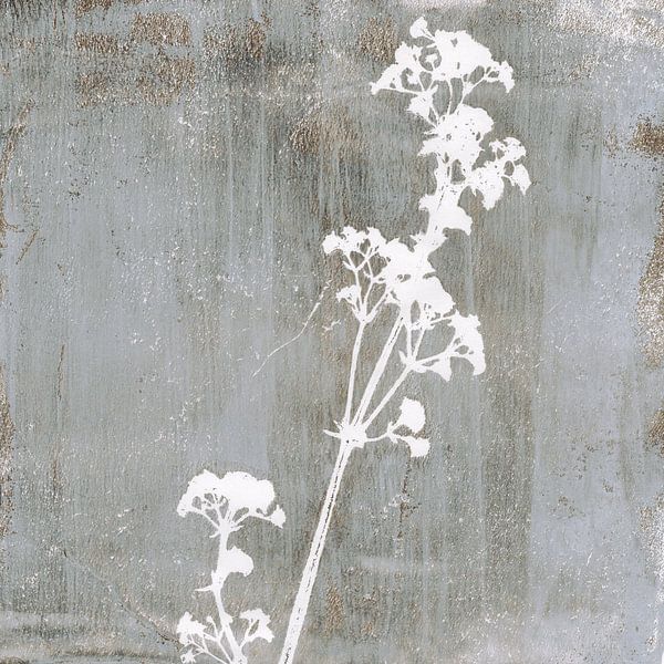 Blume. Botanische Illustration im Retro-Stil in weiß auf rostbraun grau von Dina Dankers