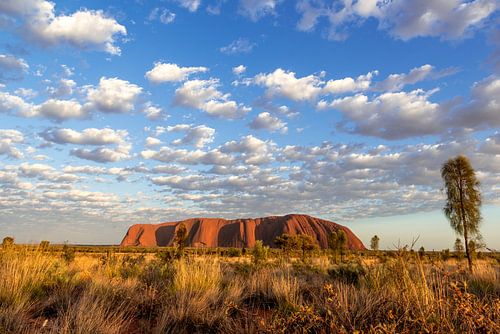 Lever de soleil sur Uluru (Ayers Rock), Australie