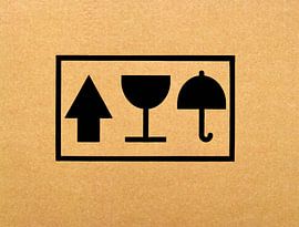 Card-Board (Karton met emblemen) van Caroline Lichthart