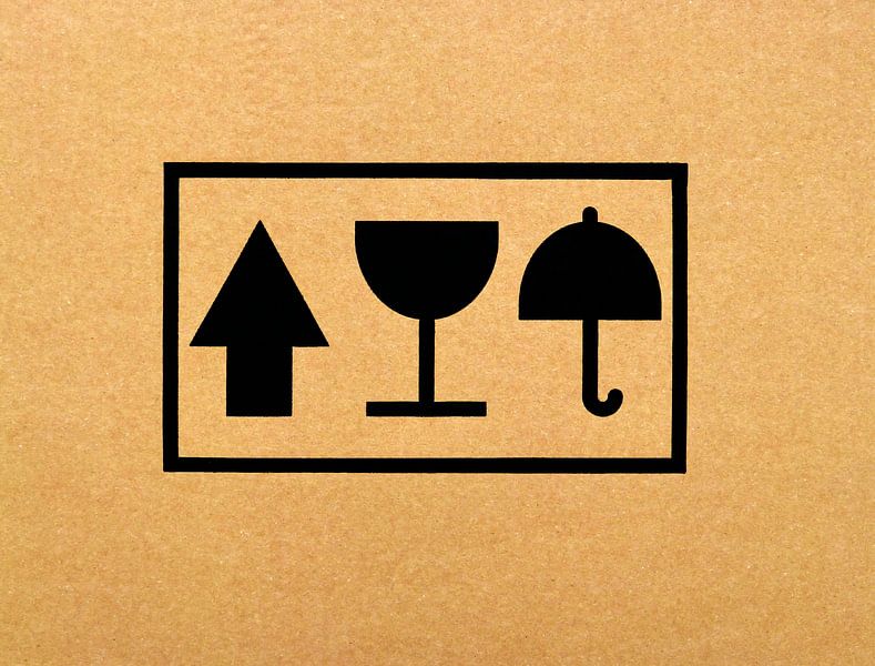 Card-Board (Carton avec emblèmes) par Caroline Lichthart