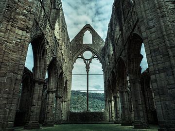 Kathedraal Ruine, Wales van Art By Dominic