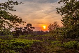 Ein warmer Sonnenuntergang auf dem Lemelerberg von Deborah de Meijer