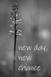 A flower in black and white with a saying by art559