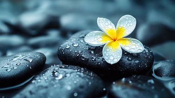 Zen-Balance von Fadila Fitra Kusuma Jaya