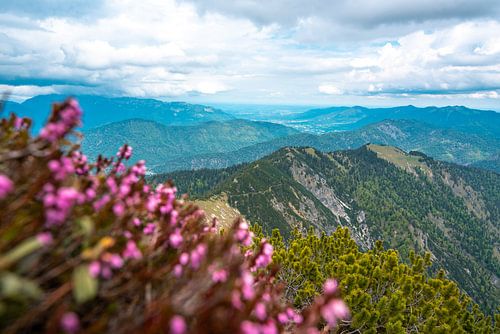 Bloemrijk uitzicht over de Oberbeierse Alpen en de Steinersee