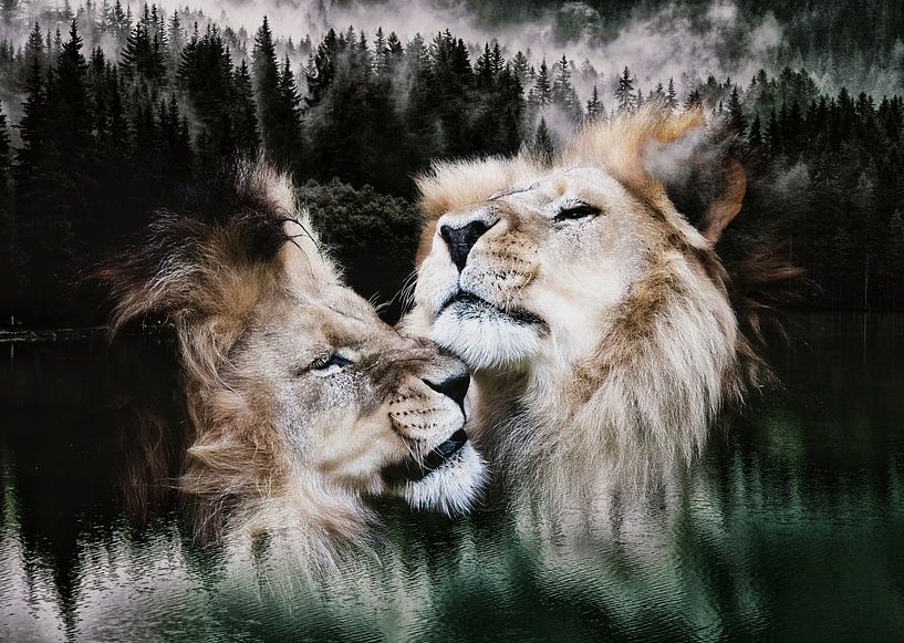 Lion Forest by Mateo