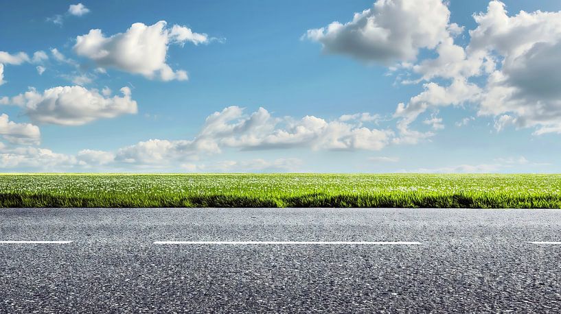 Lonely road through a green field by Frank Heinz