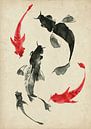 Koi by Lucia thumbnail