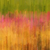 Purple Loosestrife Meadow in Evening Light Abstract