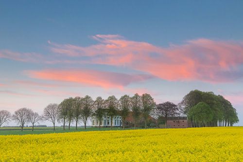 Zonsondergang over de koolzaad velden met Borg