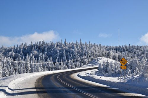 Een landweg in de winter