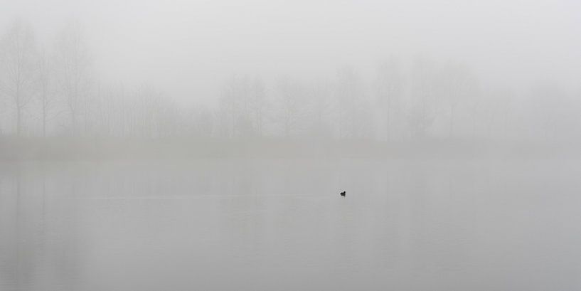 Home alone von Geert-Jan Timmermans