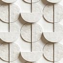 White shades II van Bianca ter Riet thumbnail