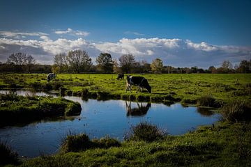 landschapfoto  van Nicole Jenneskens