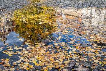 Puddle on cobblestone pavement by Dieter Walther