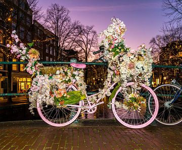 Le pouvoir des fleurs à Amsterdam sur Ruurd Dankloff