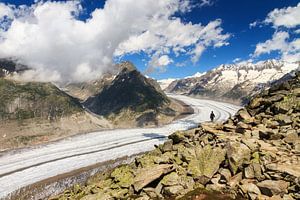 Aletsch gletsjer  sur Dennis van de Water