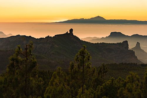 This picture clearly shows the famous Roque Nublo and the silhouette of the Teide on Tenerife in the background - an iconic motif!